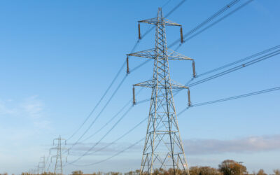 ACORE releases report